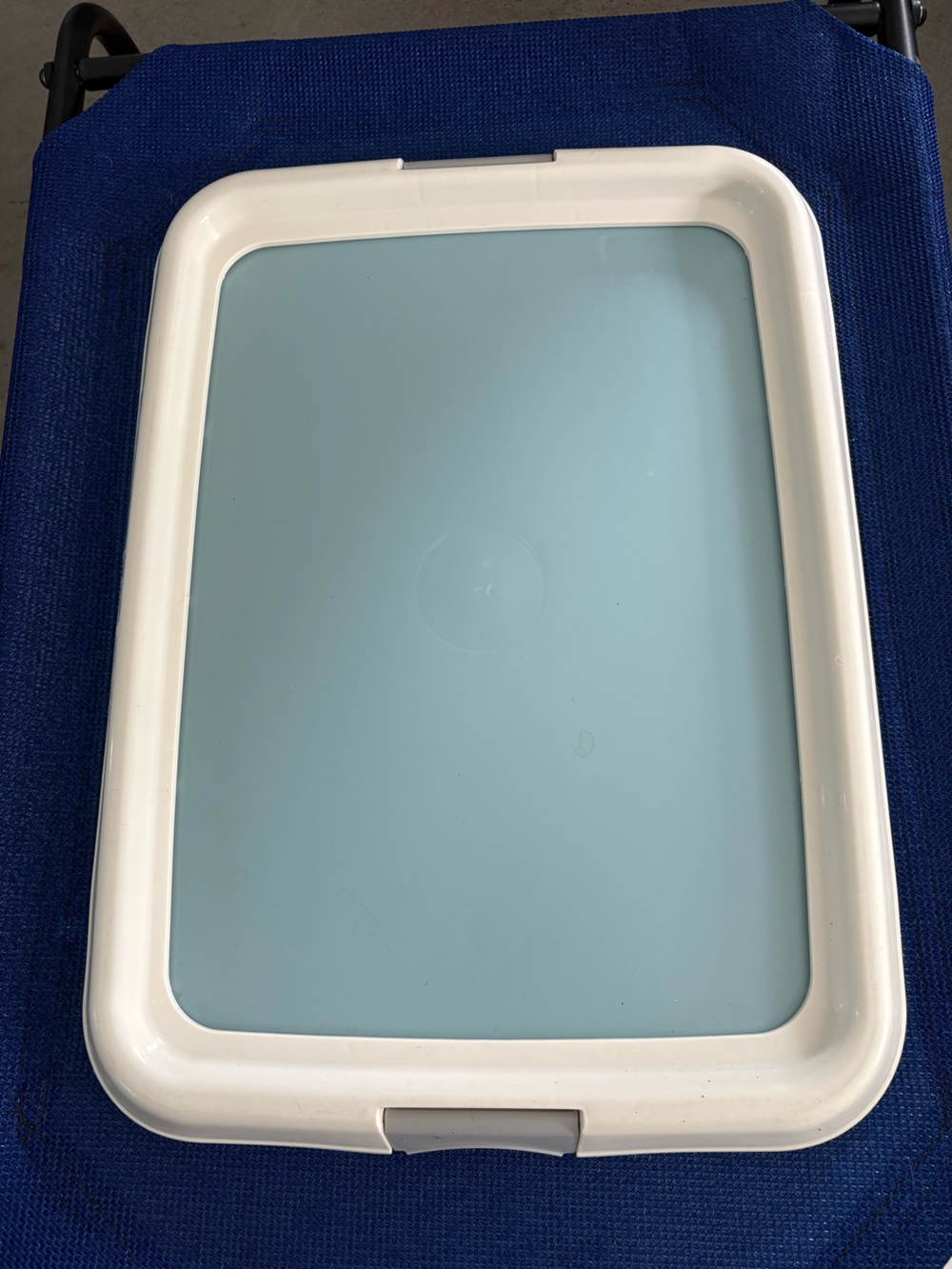 Pet Plastic Training Tray with Light Blue Base and Cream Frame